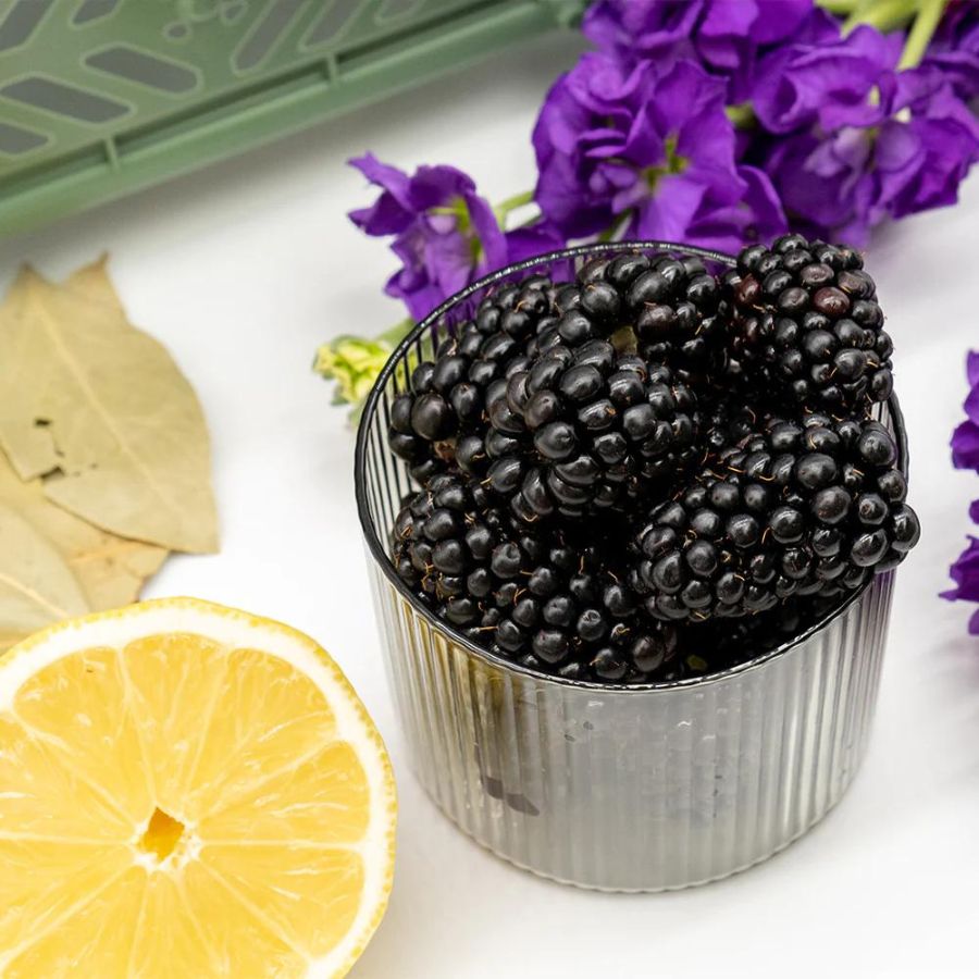 OLOR/  ベイツリー+ブラックベリー クラシックキャンドル